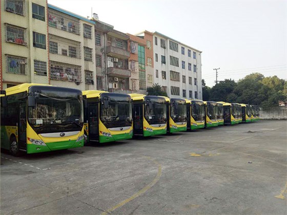 郴汽集團(tuán)嘉禾城鄉(xiāng)公交好司機(jī)，百萬存折尋失主