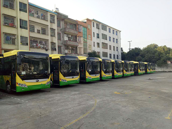 郴汽集團嘉禾城鄉(xiāng)公交好司機，百萬存折尋失主